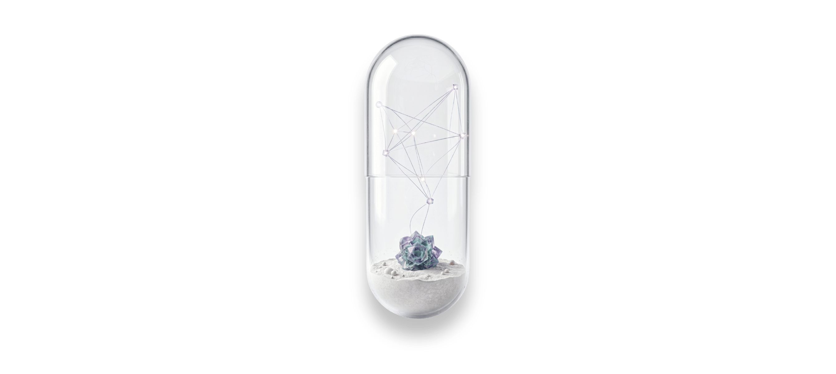 L-Carnitine