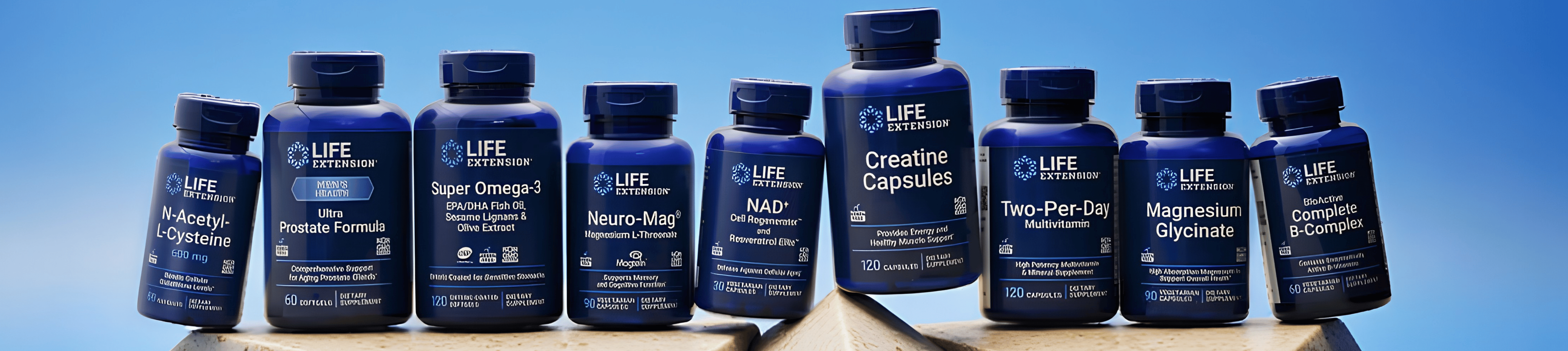 Life Extension