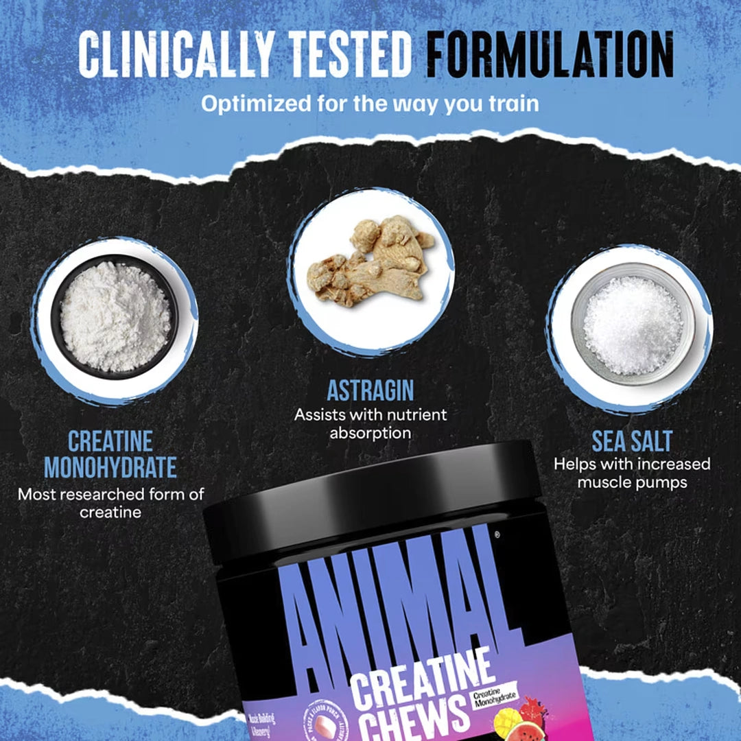 Animal, Creatine Chews, Fruit Punch, 120 Chewable Tablets