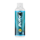 Blue Ras Lemonade