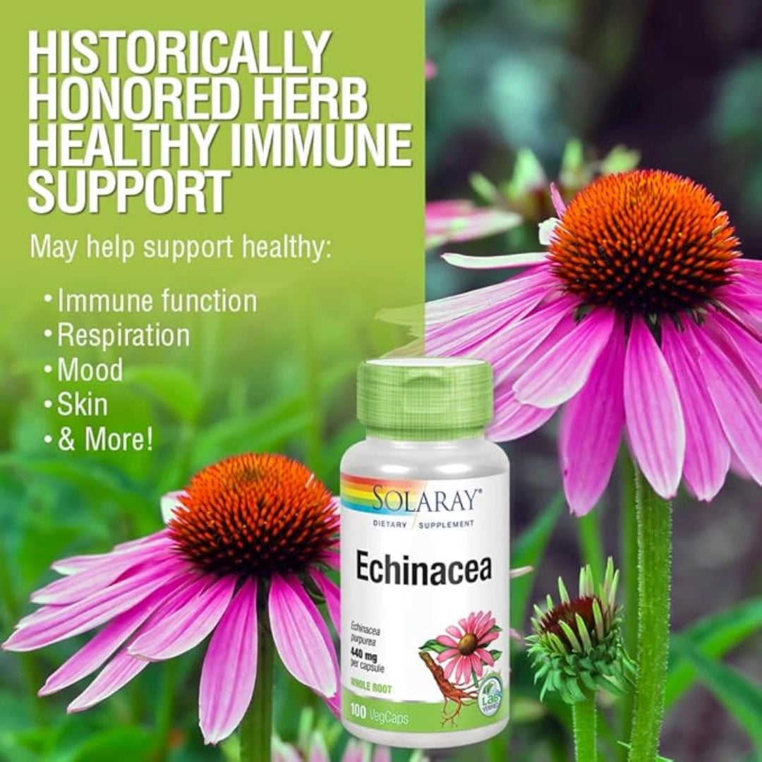 SOLARAY, Echinacea Purpurea Root 440 mg, 100 VegCaps