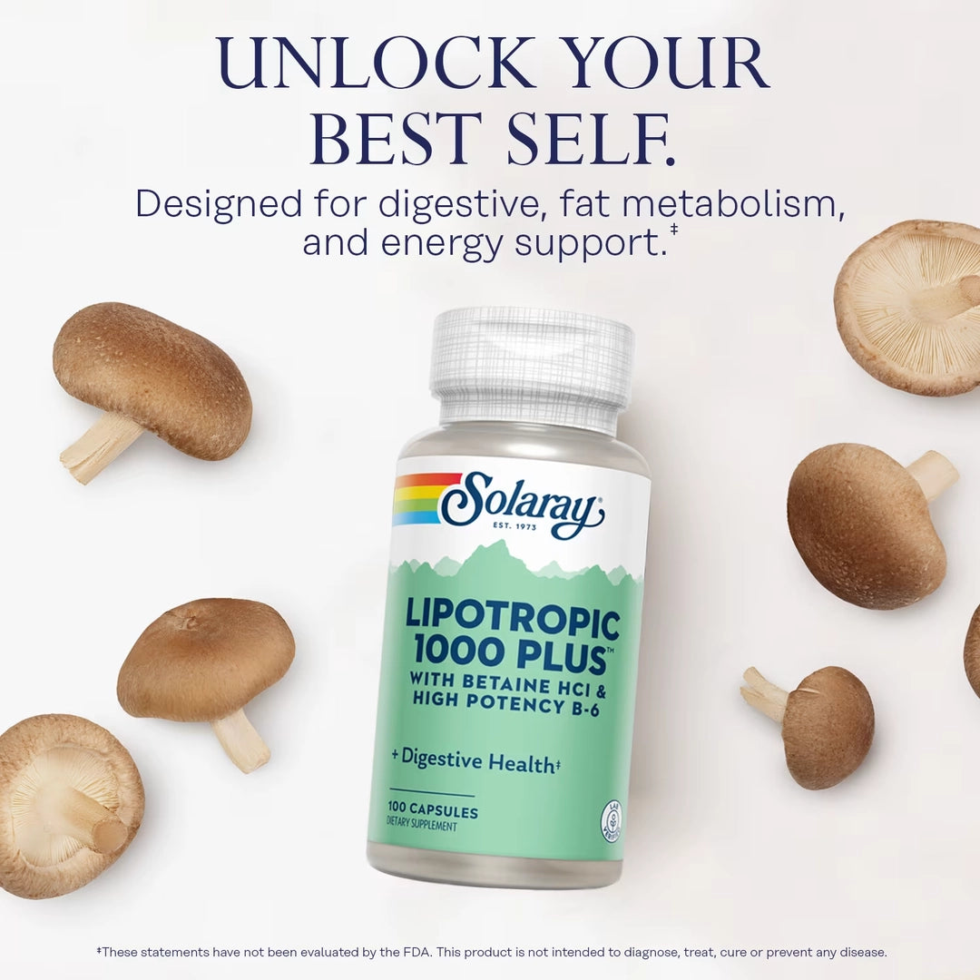 Solaray, Lipotropic 1000 Plus™, 100 Capsules