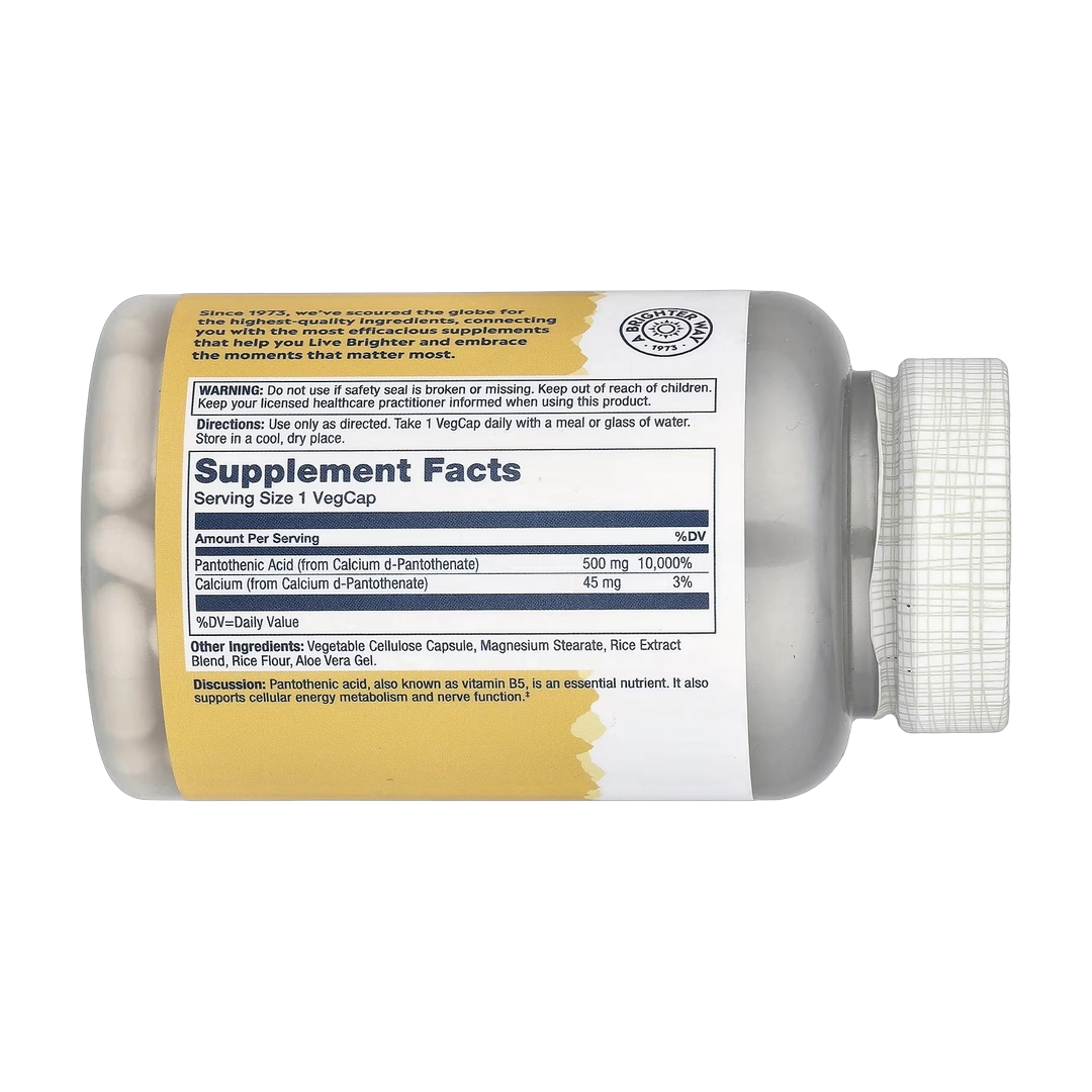 Solaray, Pantothenic Acid, 500 mg, 100 VegCaps