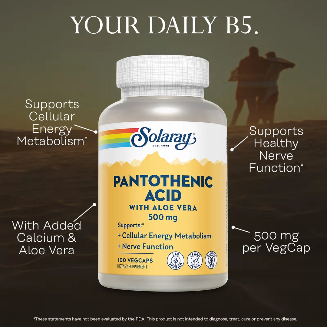 Solaray, Pantothenic Acid, 500 mg, 100 VegCaps