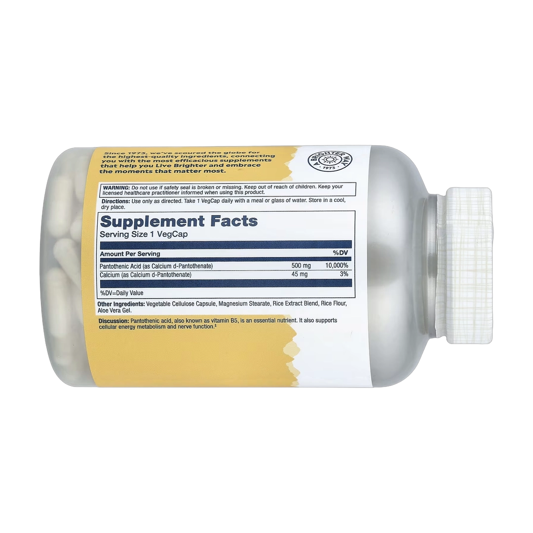 Solaray, Pantothenic Acid with Aloe Vera, 250 VegCaps