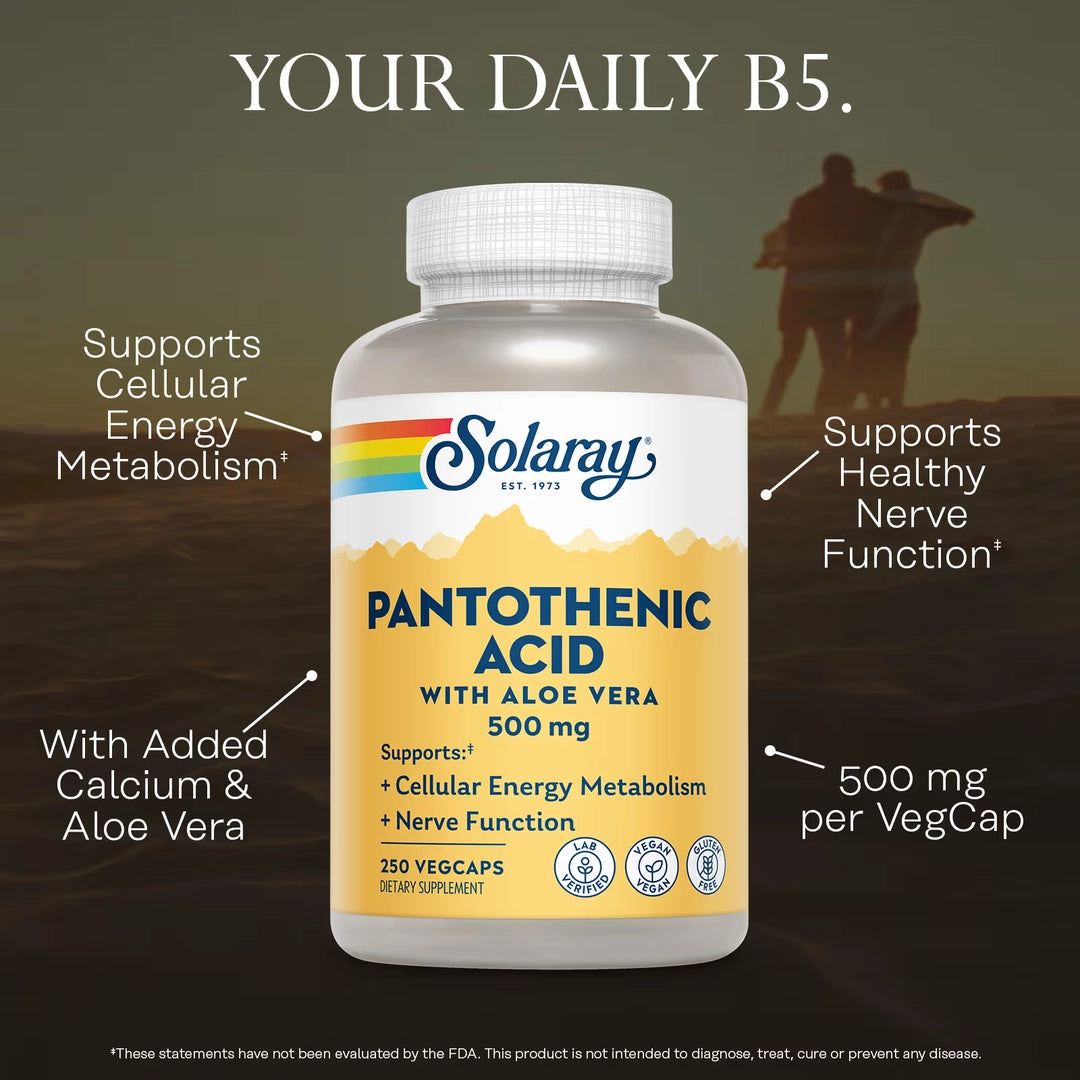 Solaray, Pantothenic Acid with Aloe Vera, 250 VegCaps