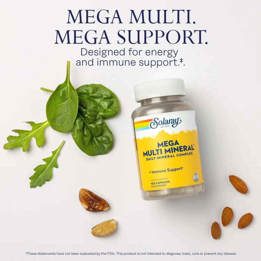Solaray, Mega Multi Mineral™, 100 Capsules