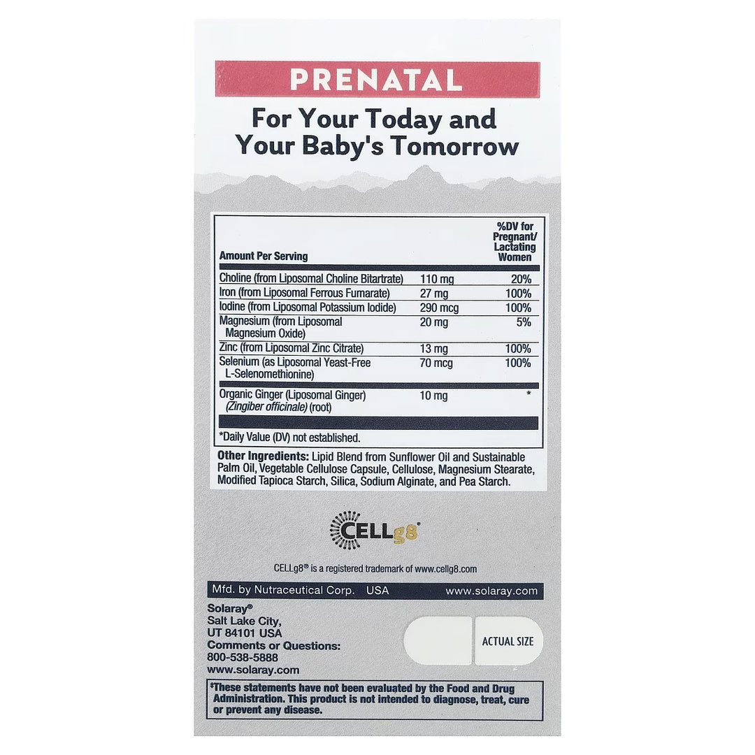 Solaray, High Potency Prenatal Liposomal Multivitamin, 60 VegCaps