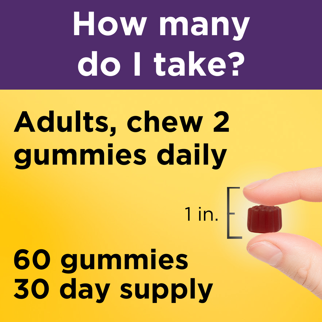 Nature Made, Elderberry Gummies with Vitamin C and Zinc, 60 Gummies lifestyle image