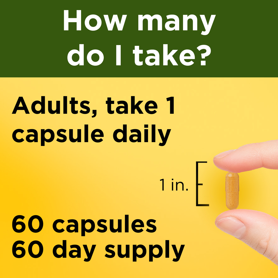 Nature Made, Turmeric Curcumin, 60 Capsules lifestyle image