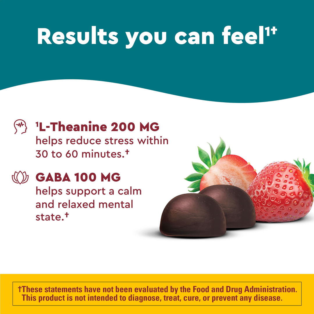 Nature Made, Wellblends, Stress Relief, Strawberry, 40 Gummies lifestyle image