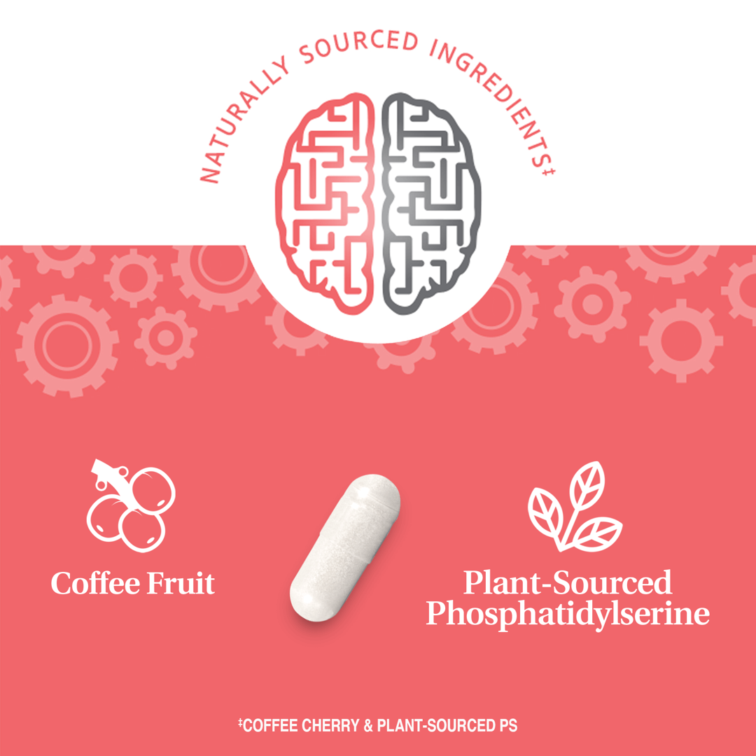 21st Century, Brilliant Brain Performance, 30 Capsules lifestyle image
