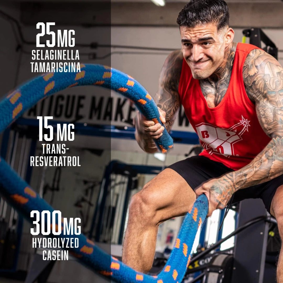 BSN, No-Xplode® VASO, Ultimate Pump Pre-Workout, Pineapple Pump, 1.11 lb (504 g)