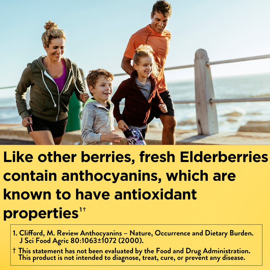 Nature Made, Elderberry Gummies with Vitamin C and Zinc, 60 Gummies lifestyle image