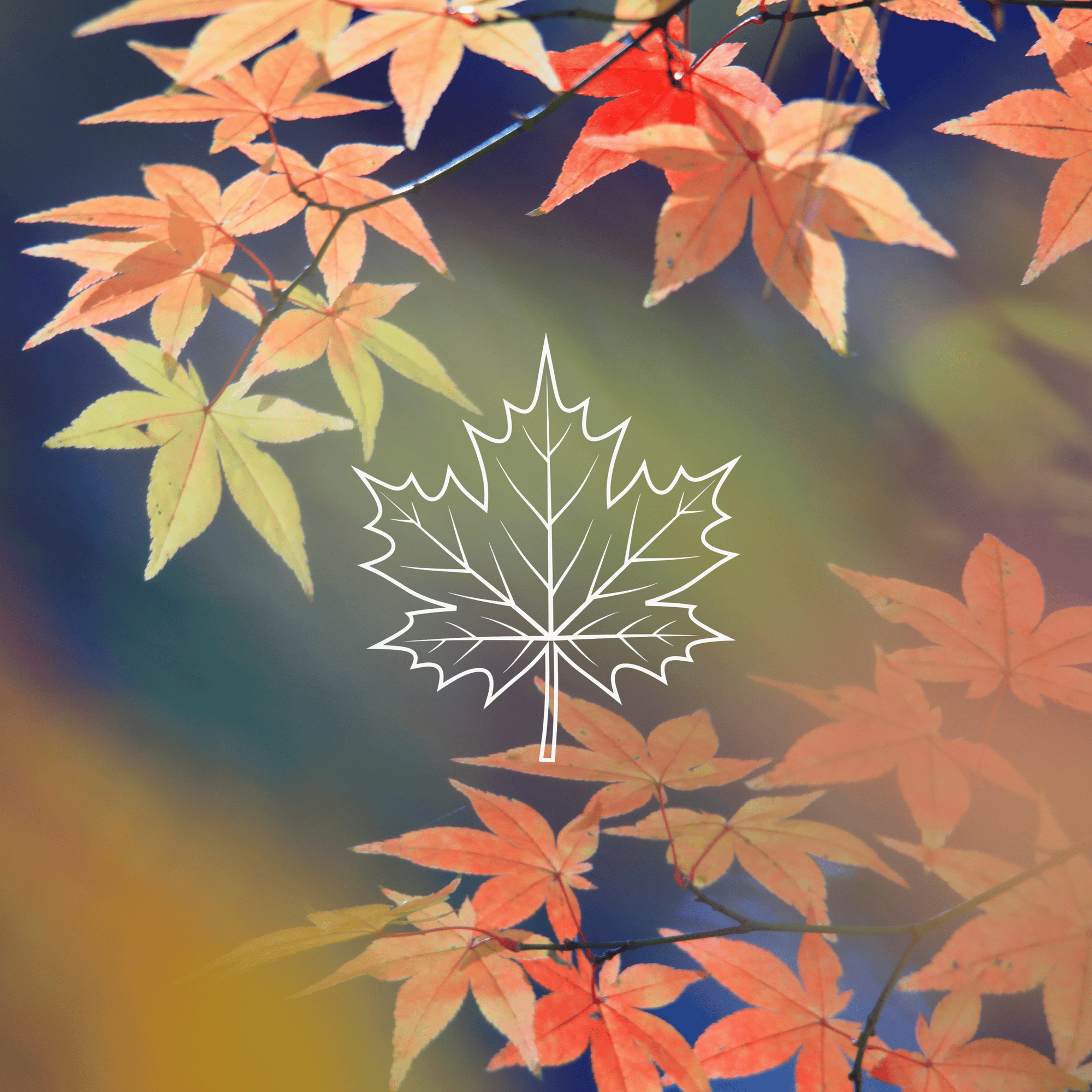 Maple Herbs Worldwide Inc.