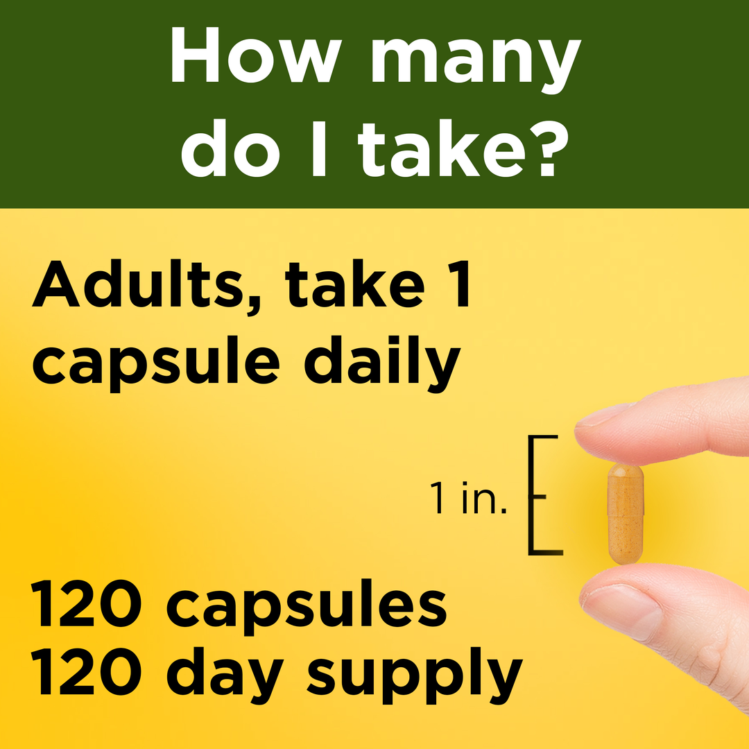 Nature Made, Turmeric Curcumin, 500 mg, 120 Capsules lifestyle image